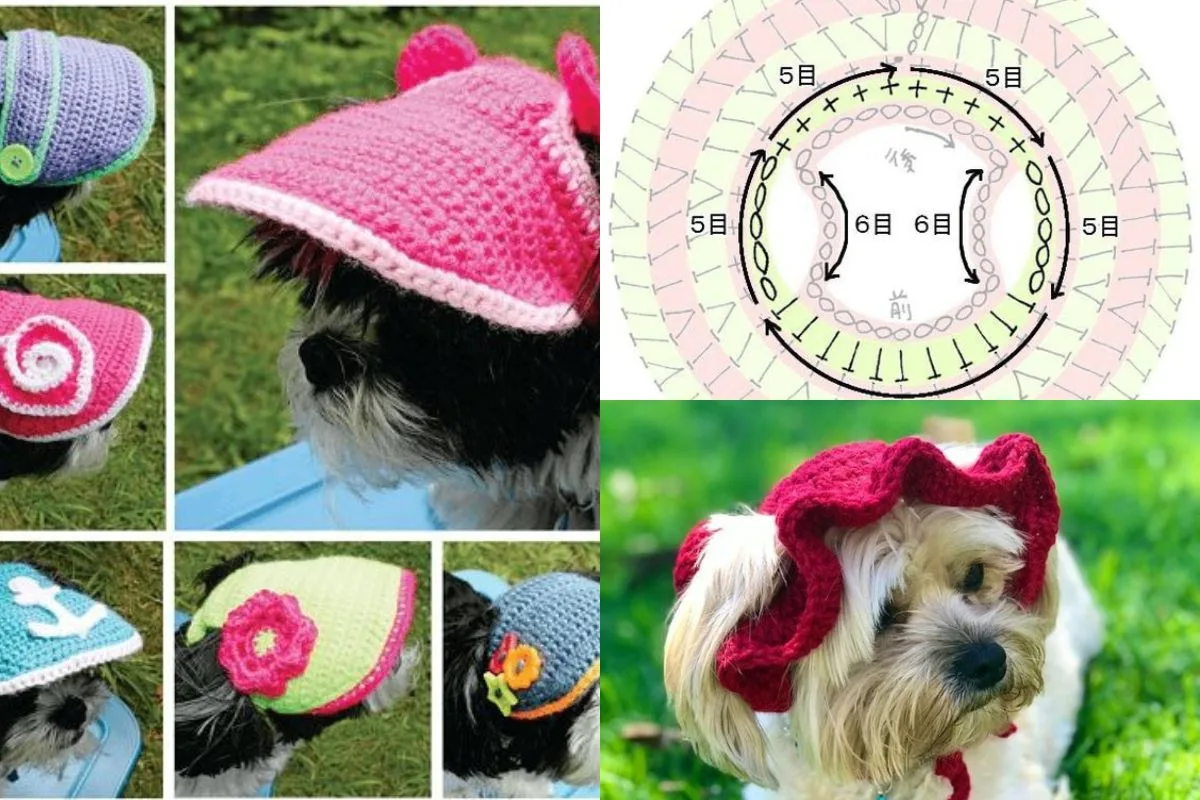Adorable Crochet Dog Hat Pattern For Your Pup — photo 3