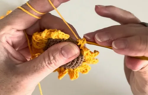 Crochet Sunflower Pattern With Picot Petals and Stuffed Center — photo 3